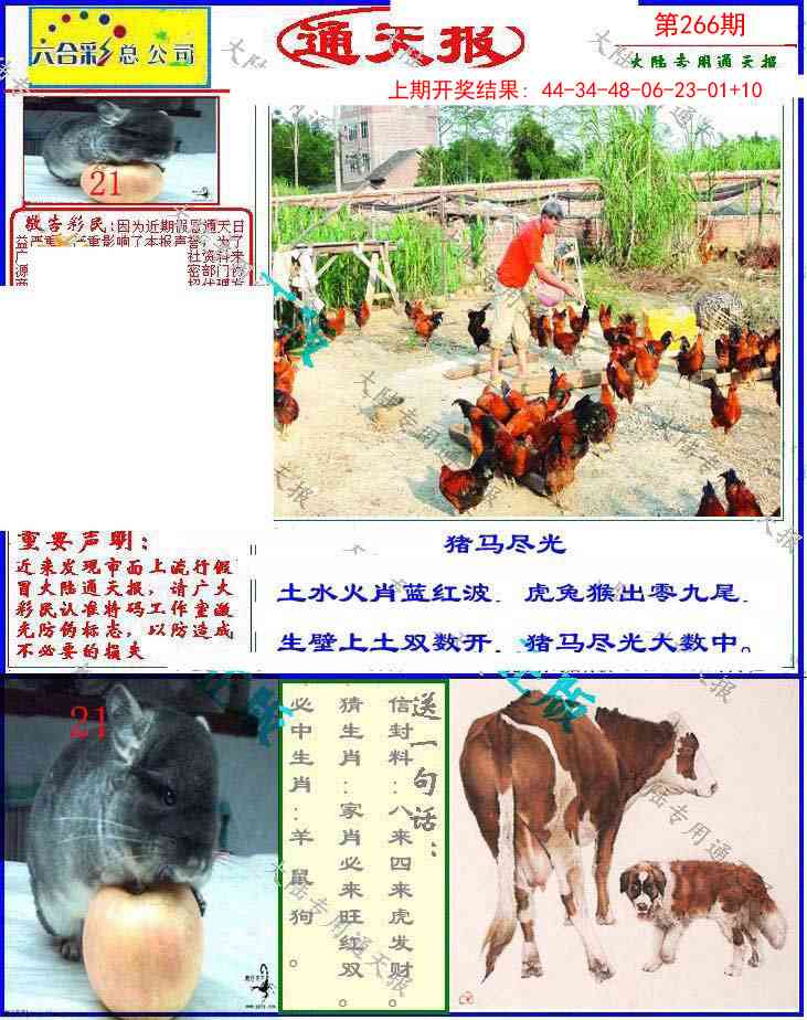 266期大陆通天报[图]