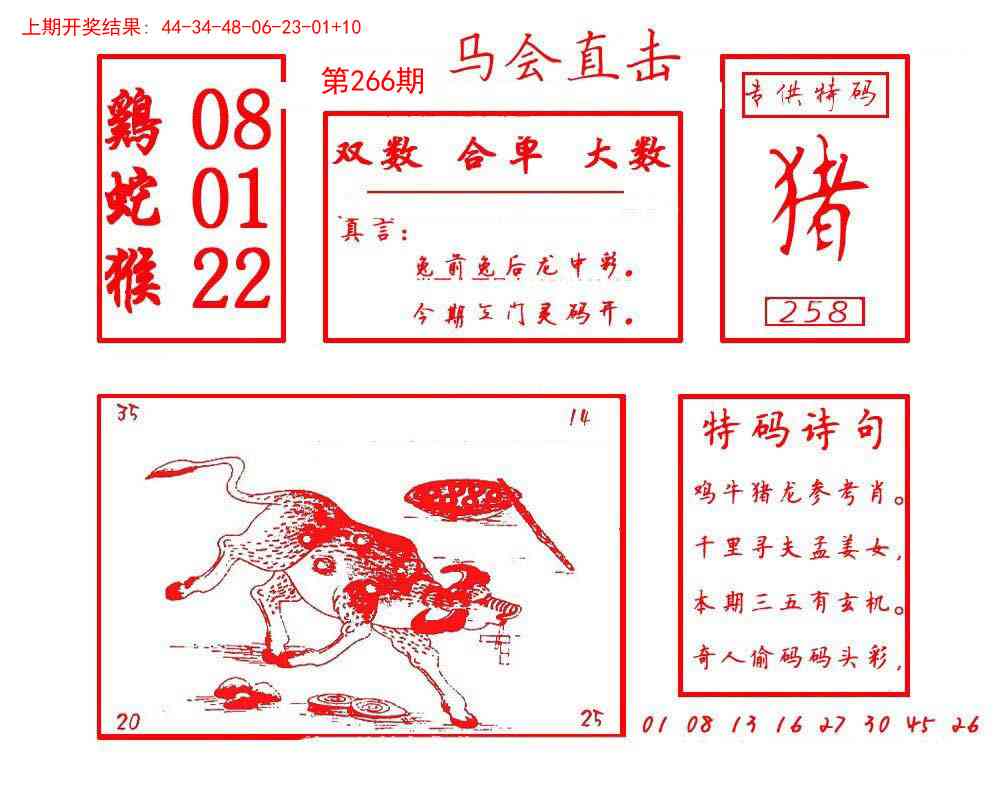 266期马会直击[图]