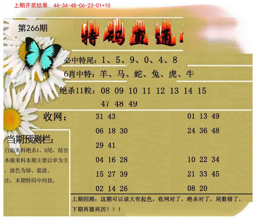 266期特码直通车[图]