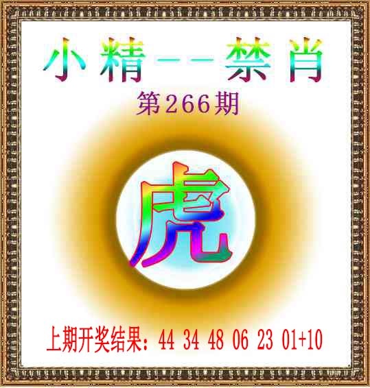 266期小精禁肖[图]