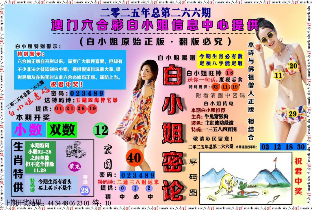 266期白小姐密论[图]