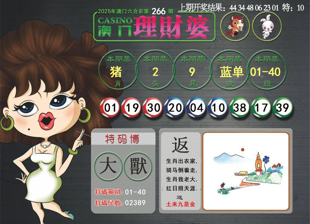 266期澳门理财婆[图]