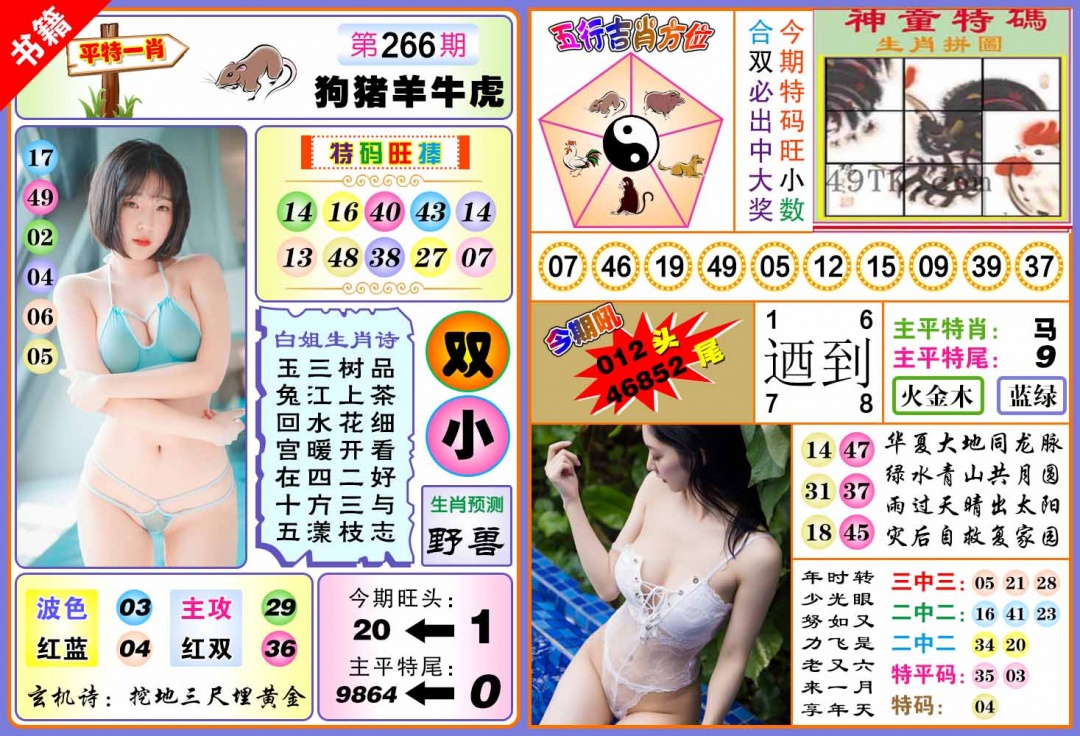 266期澳门五行白姐[图]