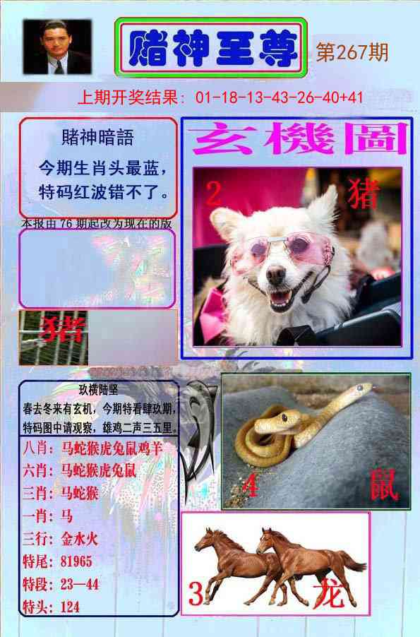 267期赌神至尊[图]
