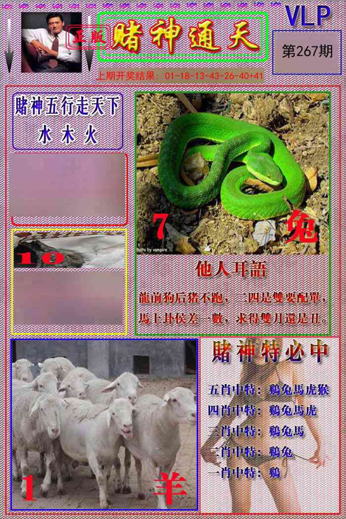 267期赌神通天报[图]