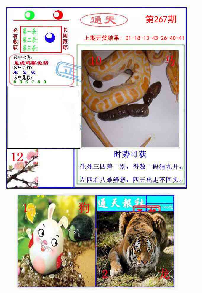 267期通天杀波图2[图]