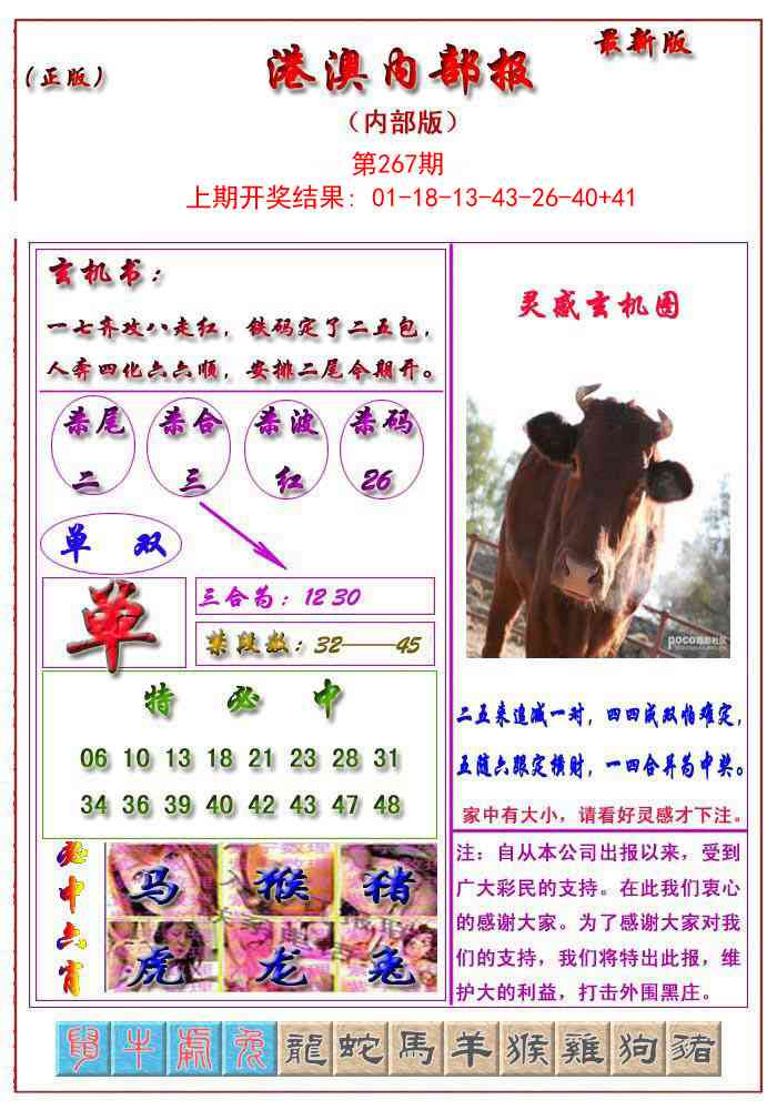 267期港澳报[图]