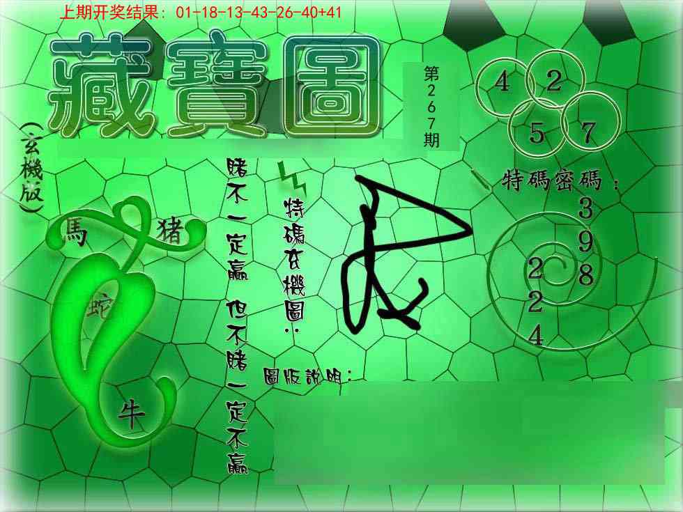 267期九龍玄机报[图]