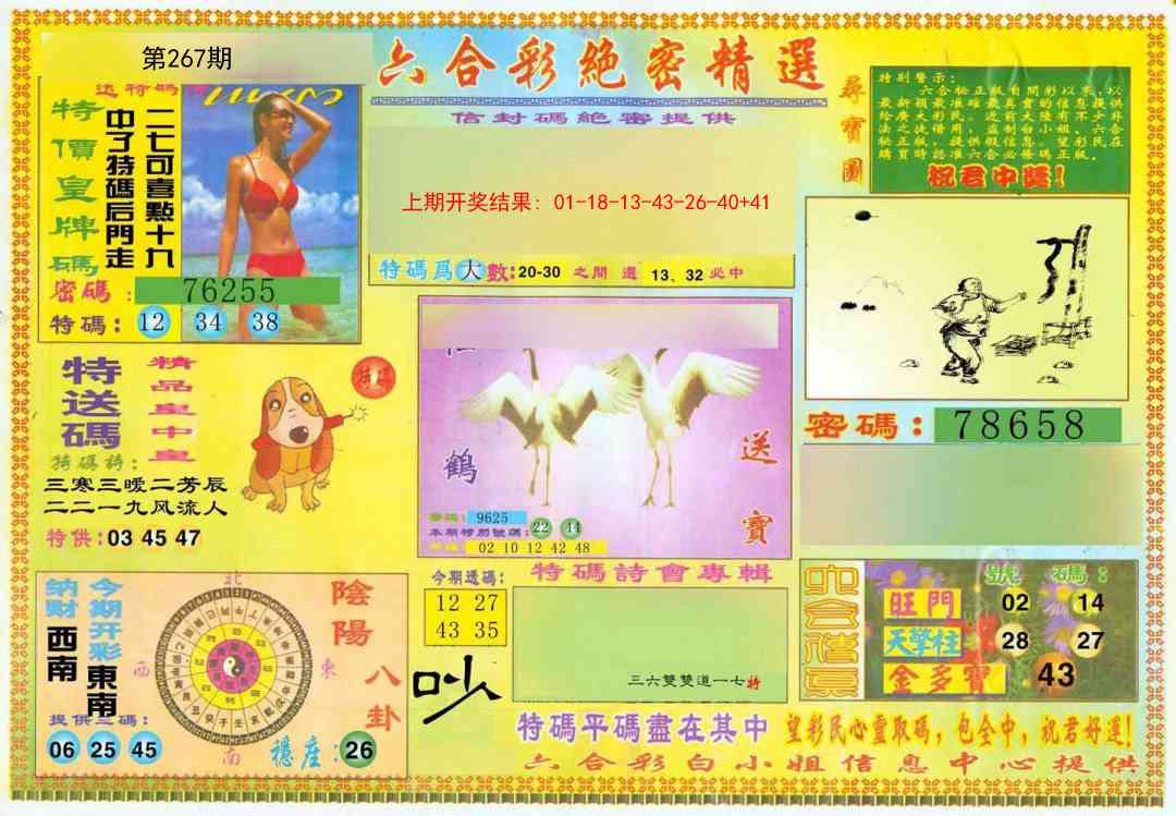 267期绝密精选A[图]