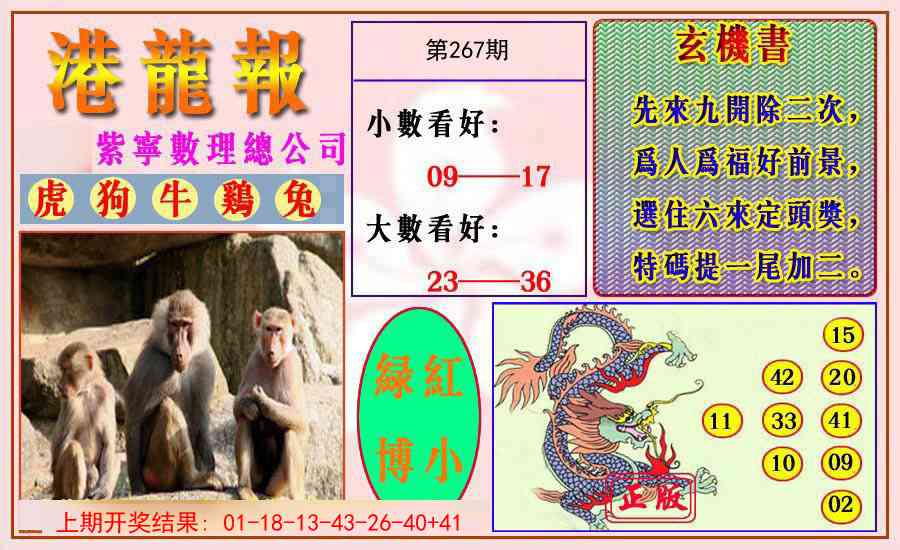 267期港龙报[图]