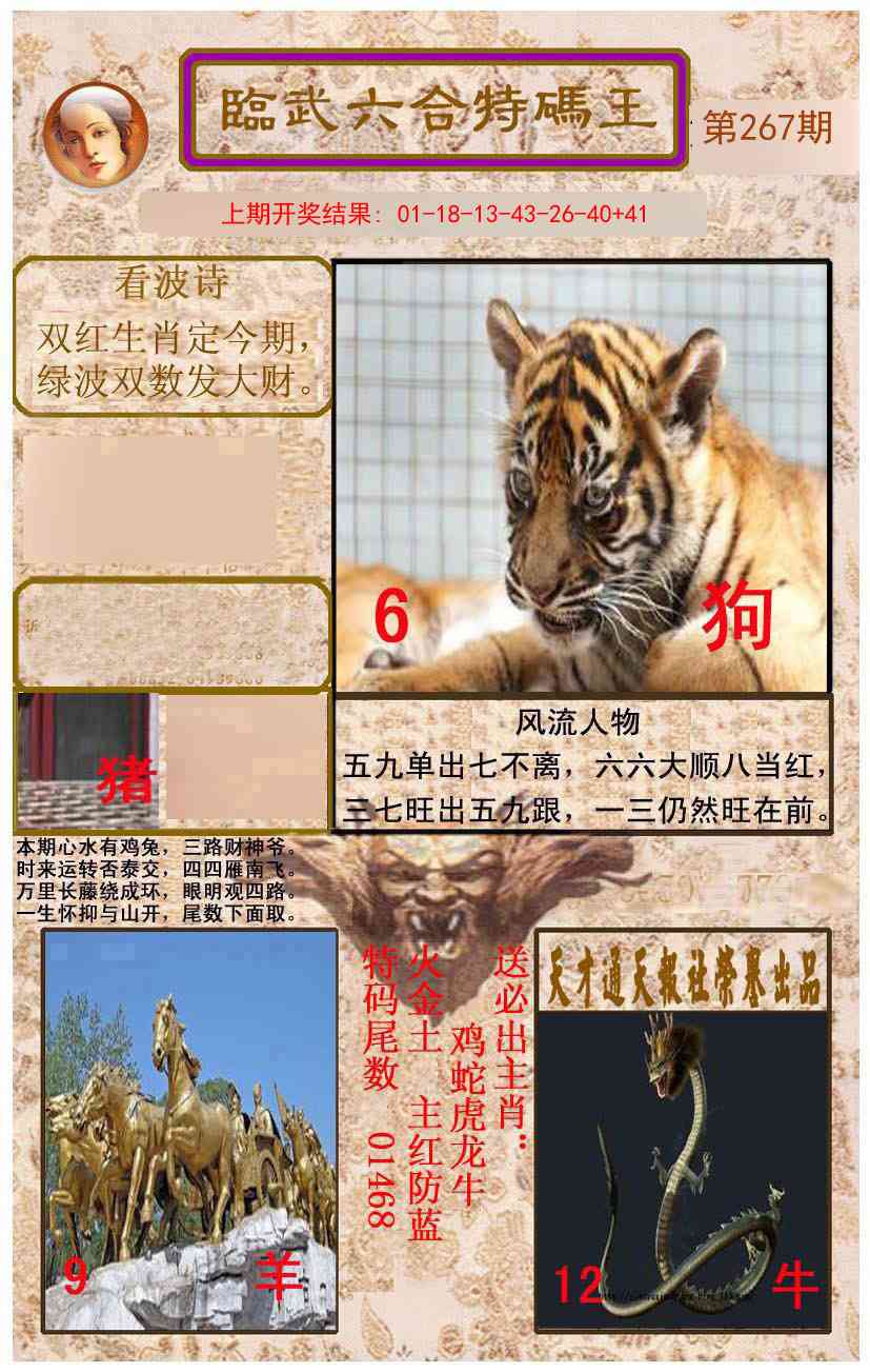267期临武六合特码王[图]