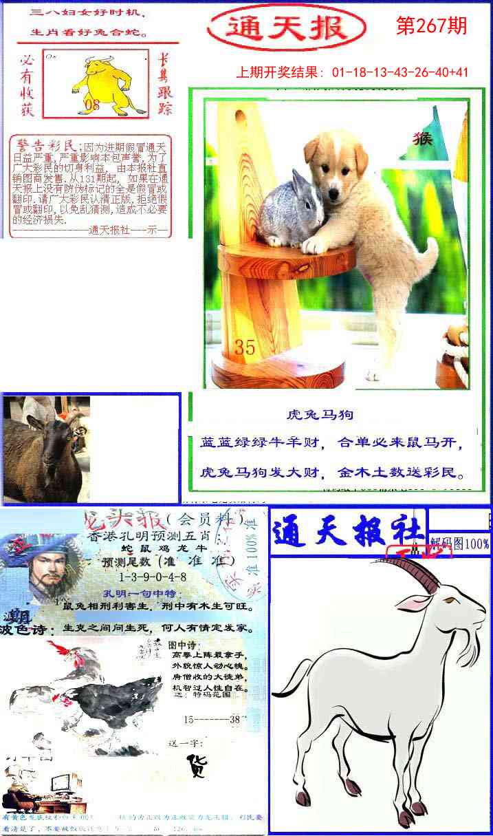 267期实力通天报[图]