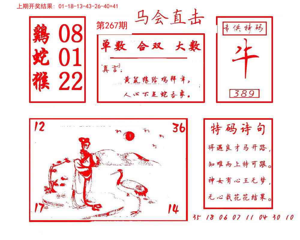 267期马会直击[图]