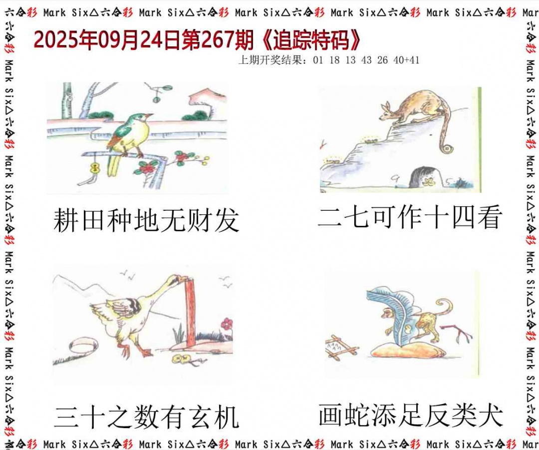 267期追踪特码[图]