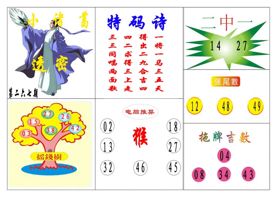 267期小诸葛[图]