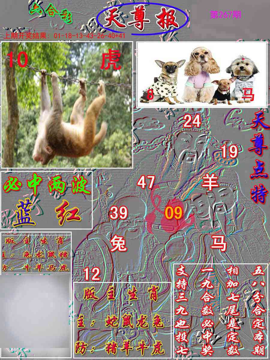 267期天尊报[图]