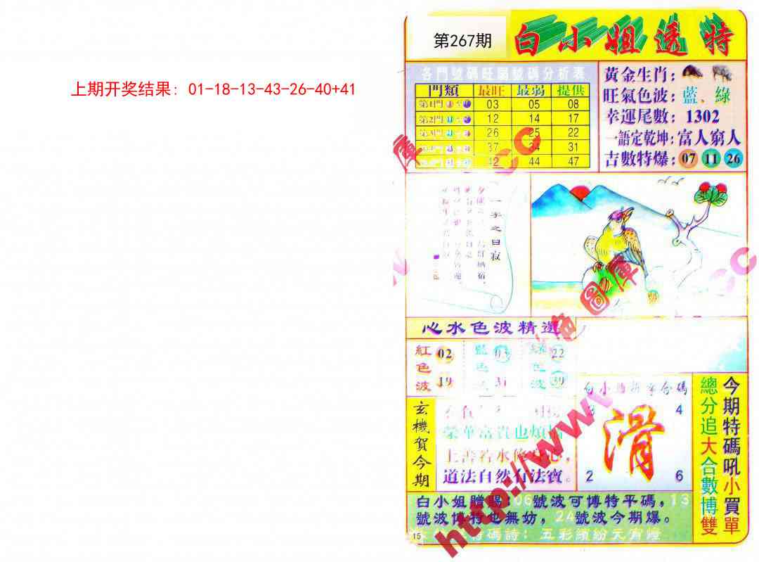 267期白小姐透特[图]