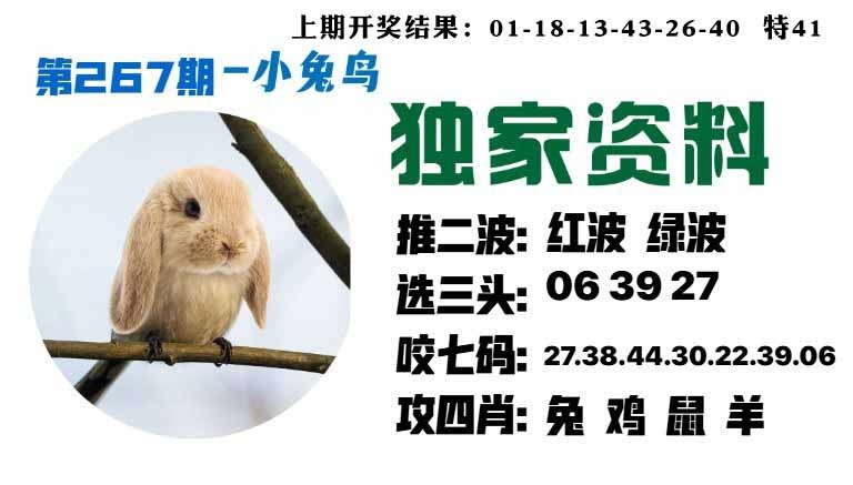 267期小兔鸟[图]