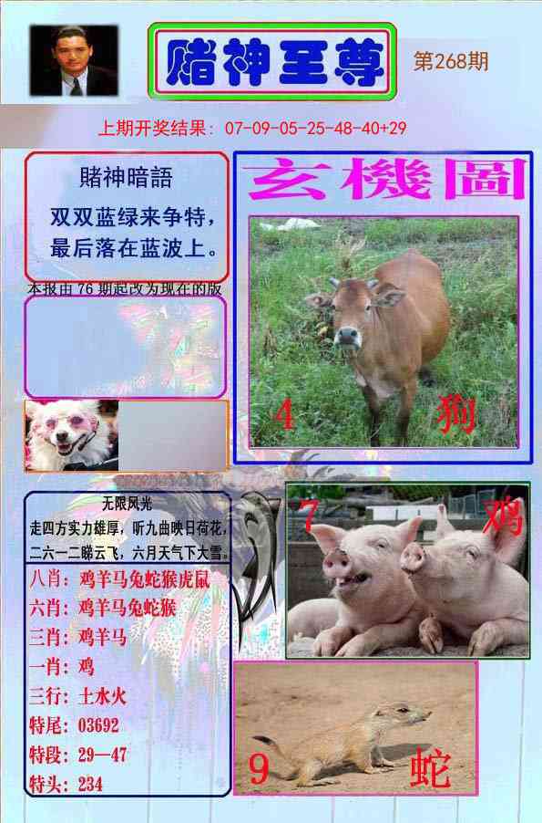 268期赌神至尊[图]