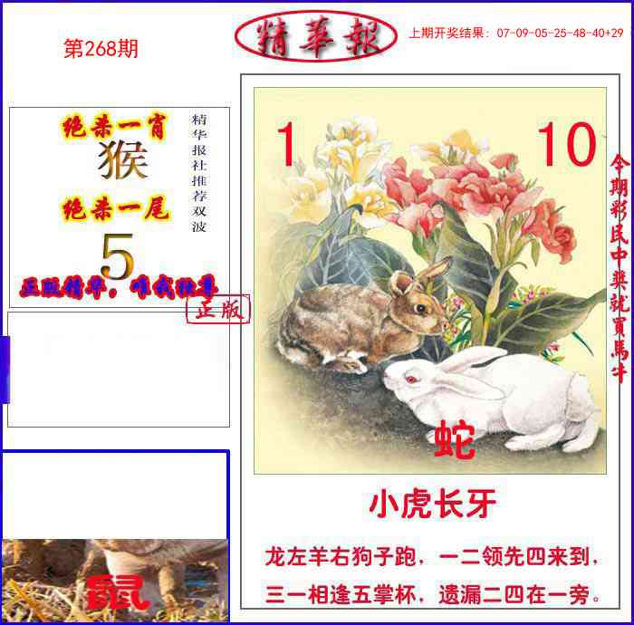 268期新精华报报[图]