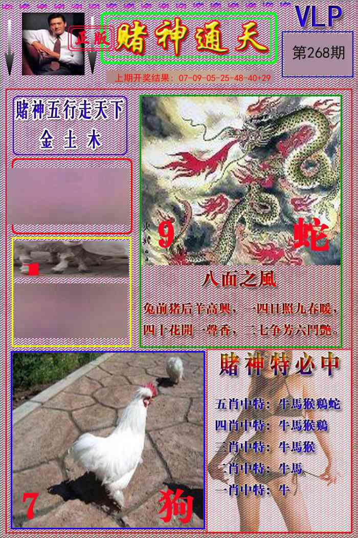 268期赌神通天报[图]