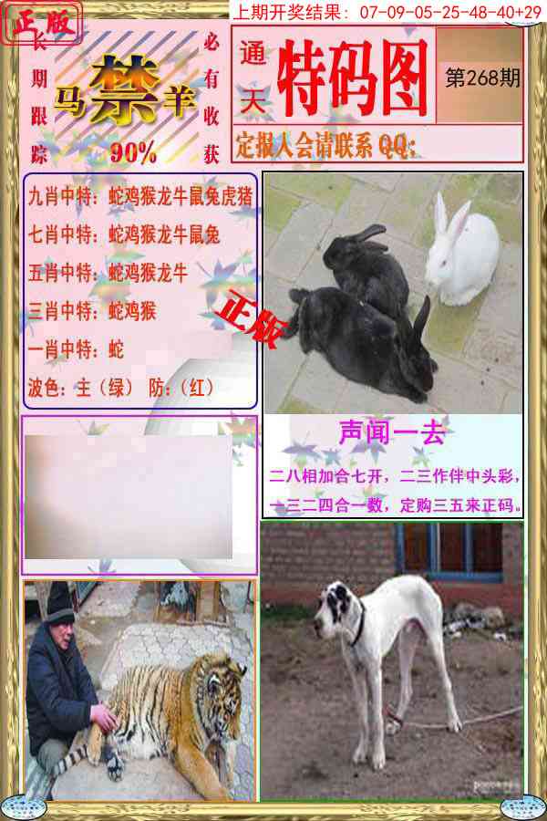 268期特码图[图]