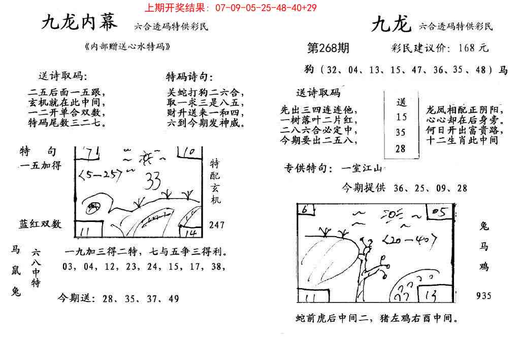 268期九龙内幕[图]