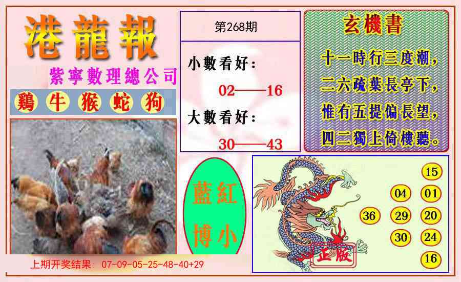 268期港龙报[图]