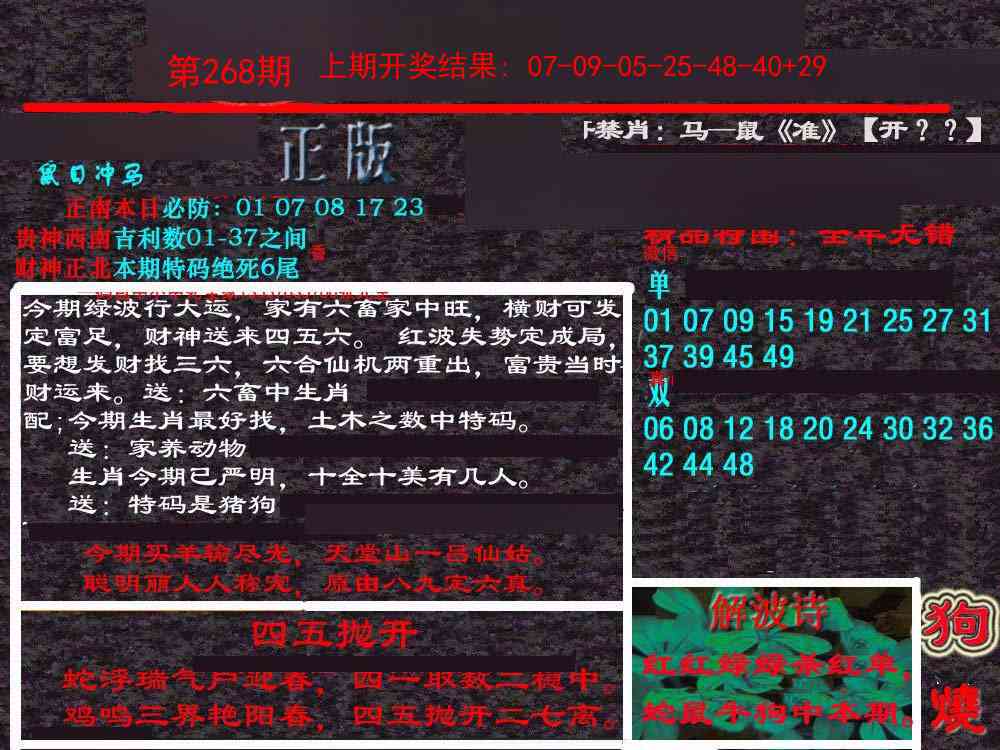 268期新港内幕[图]