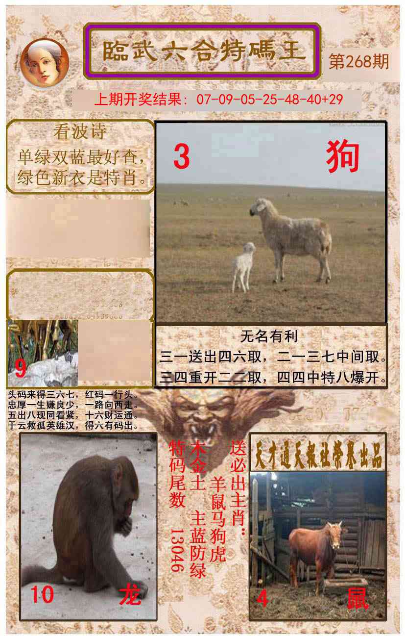 268期临武六合特码王[图]