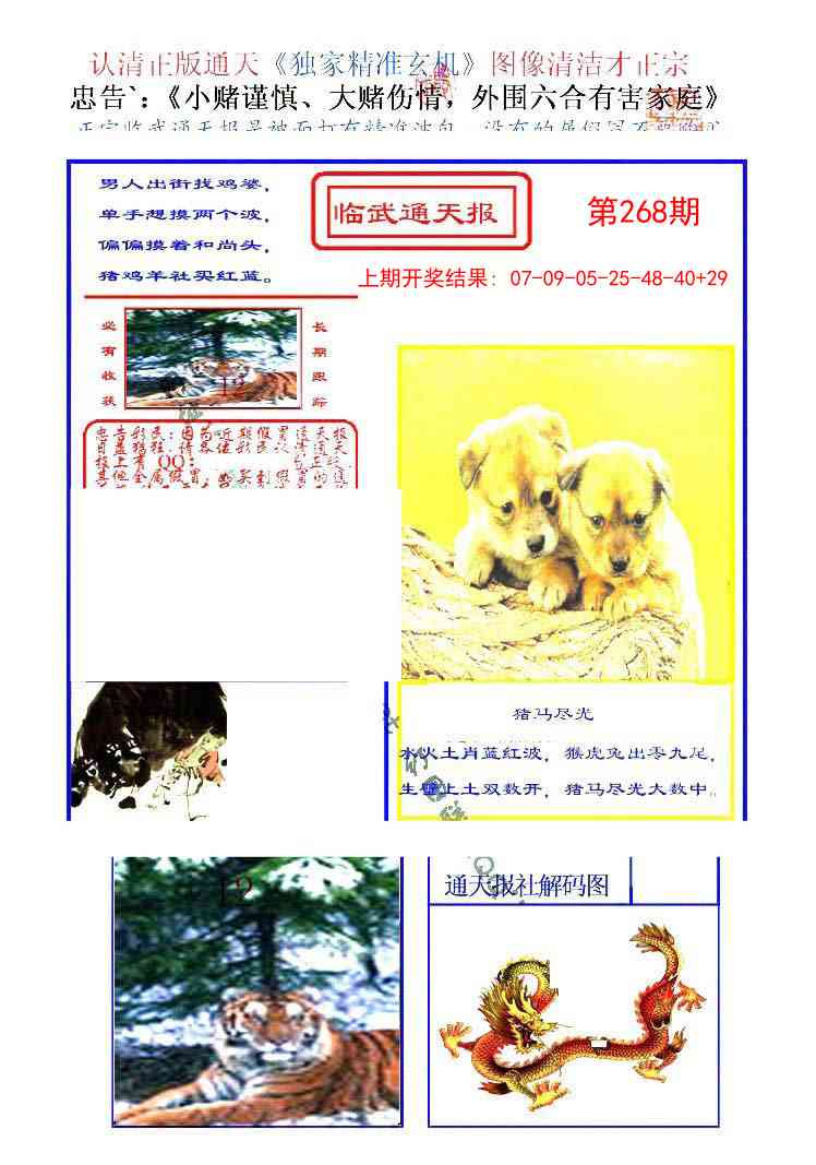 268期临武通天报[图]