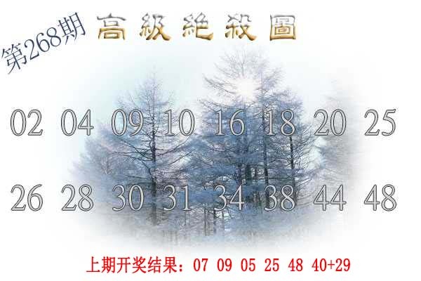 268期高级内部绝杀[图]