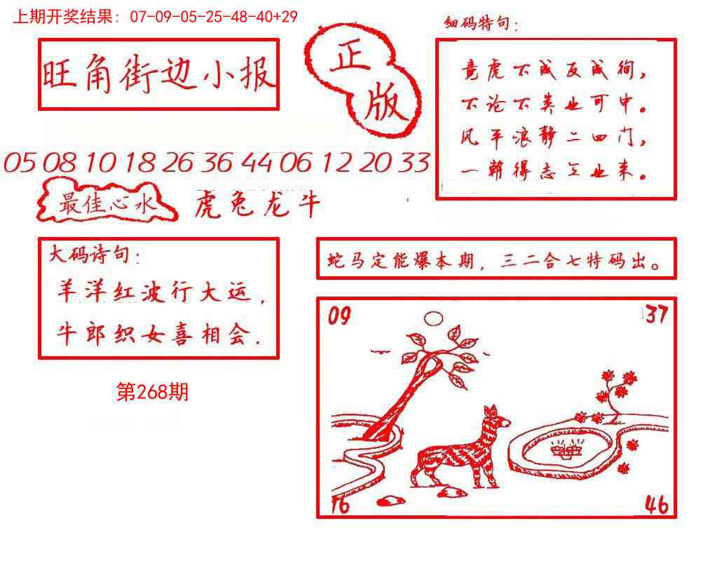 268期旺角街边小报[图]