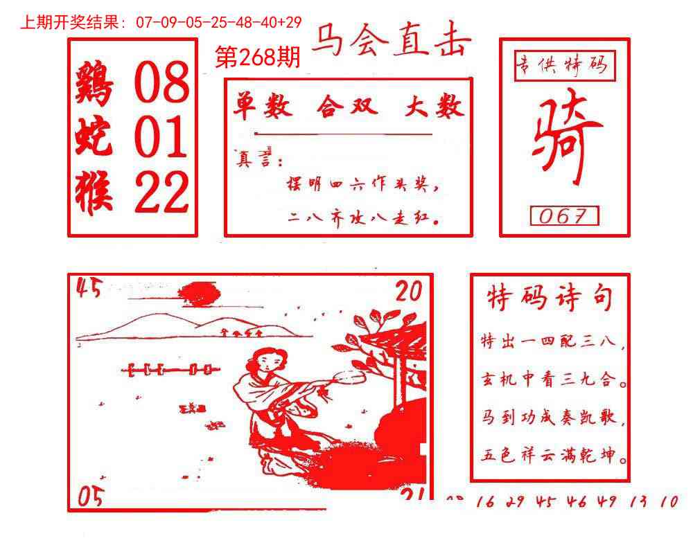 268期马会直击[图]