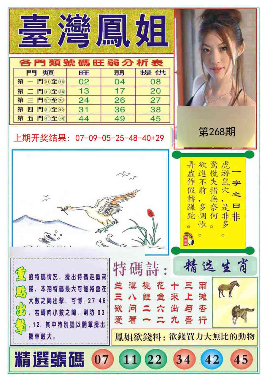 268期台湾凤姐[图]