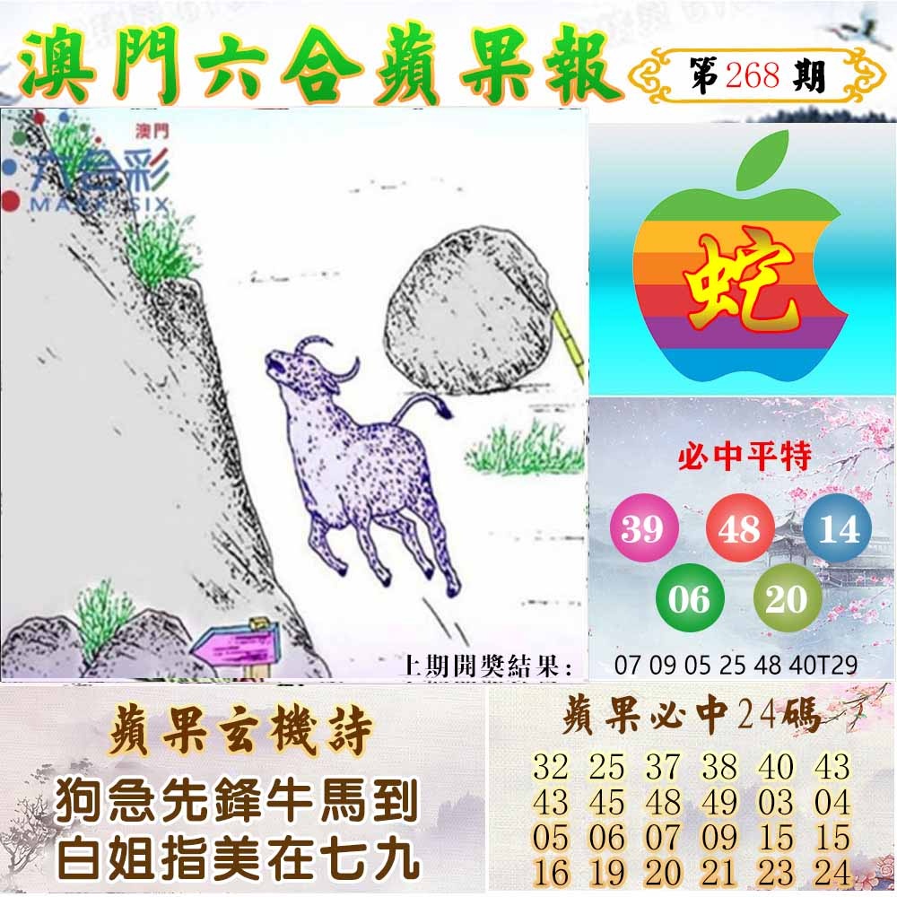 268期苹果报[图]