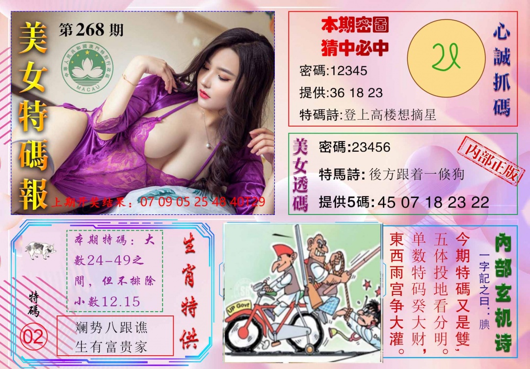 268期美女特码报[图]