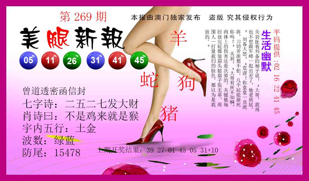 269期美腿新报[图]