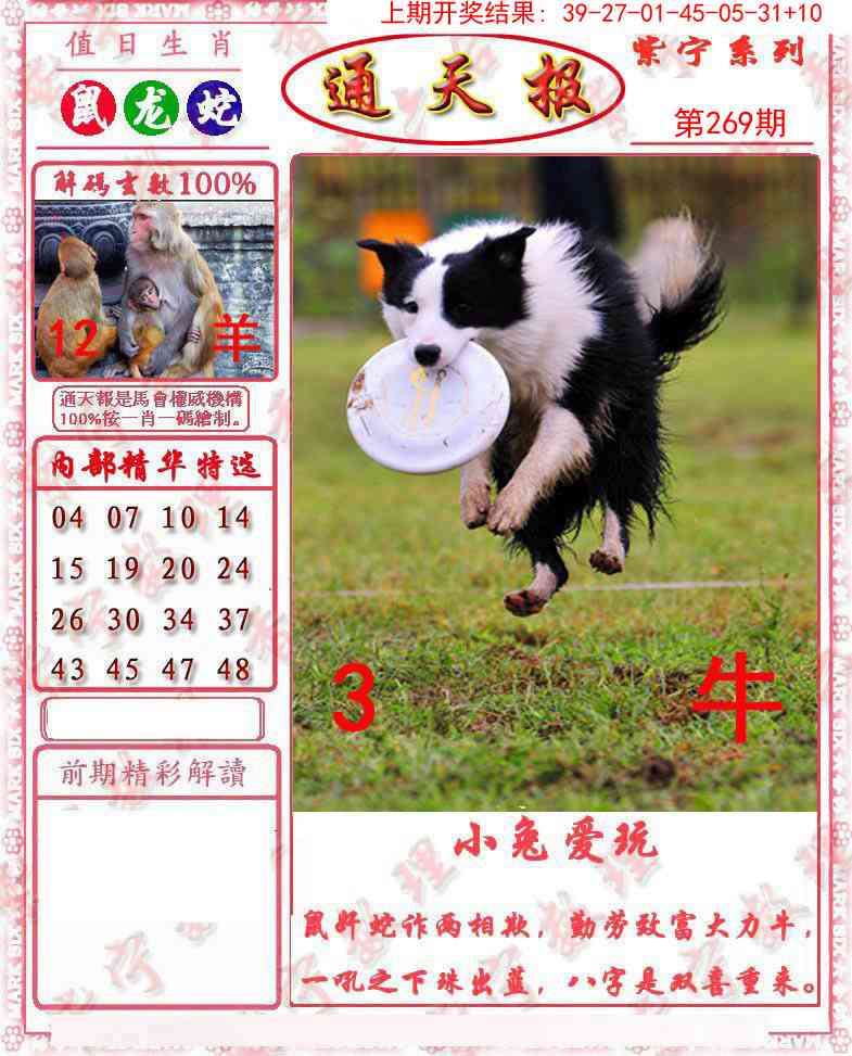 269期救通报[图]