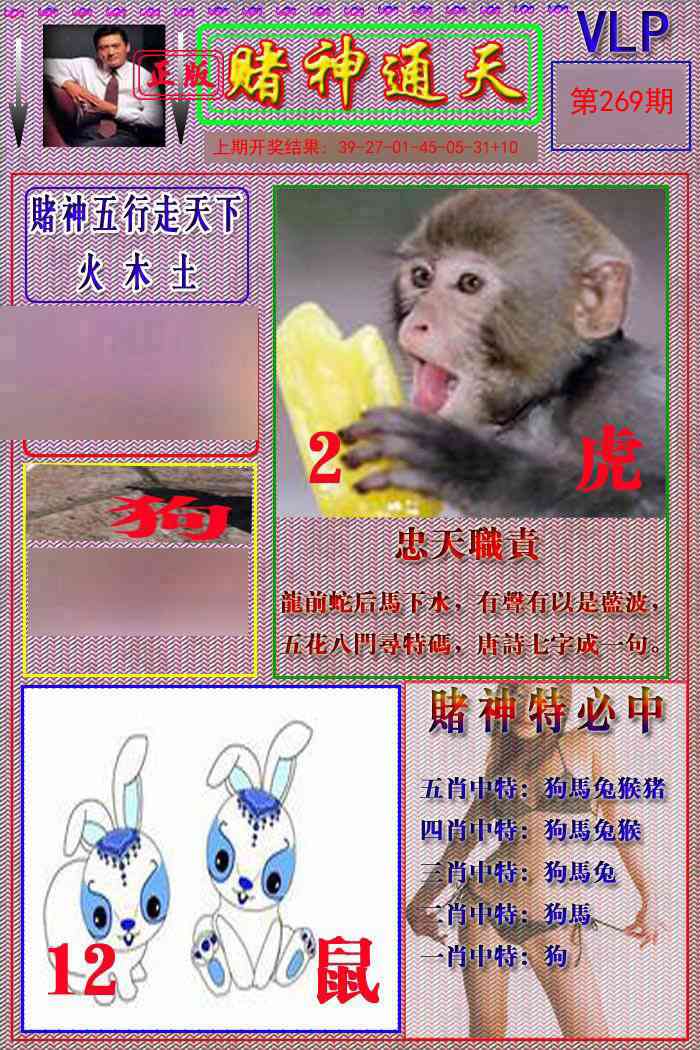269期赌神通天报[图]