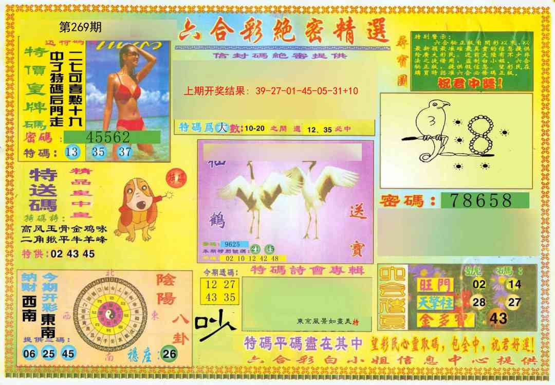 269期绝密精选A[图]