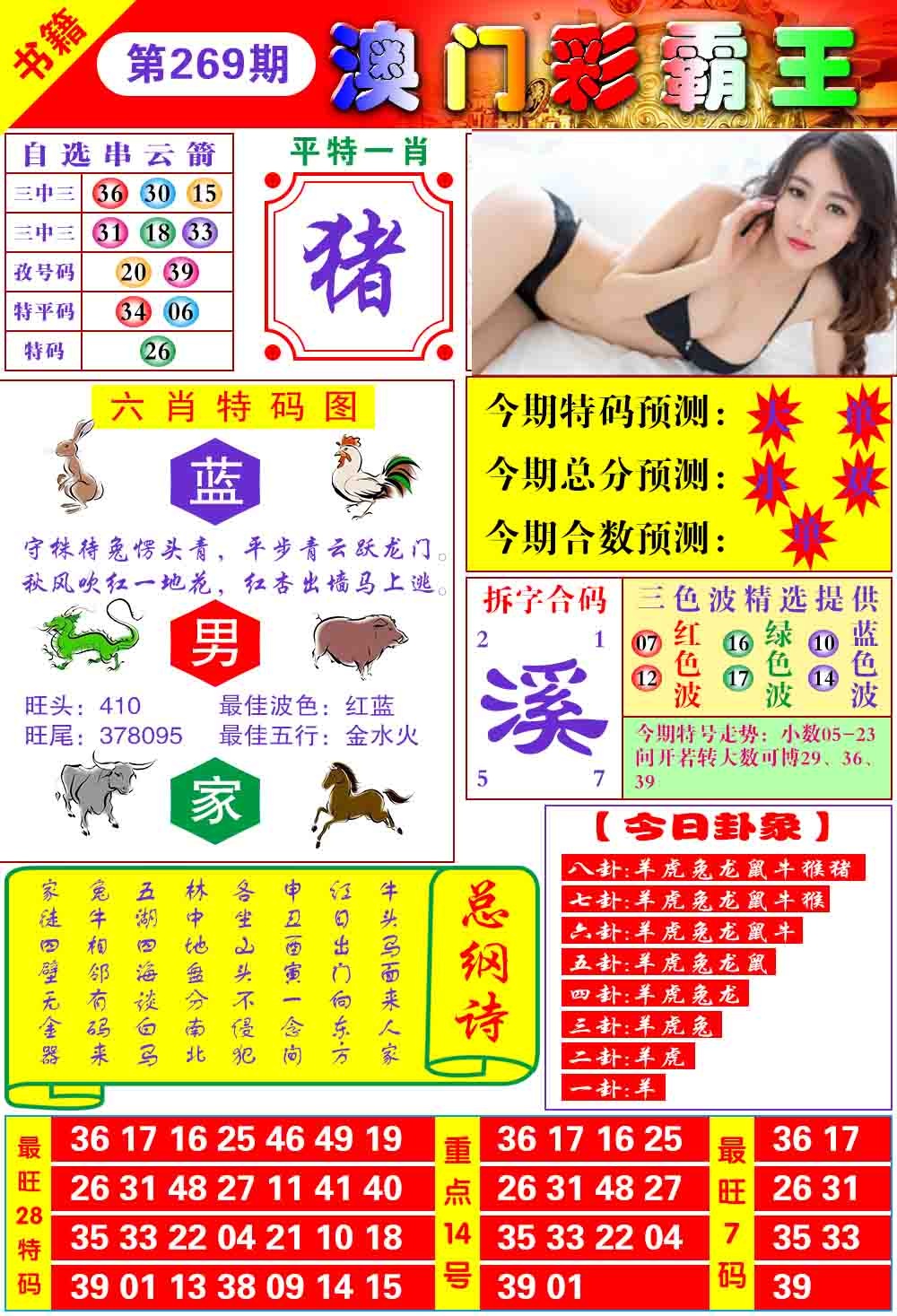 269期澳门彩霸王[图]