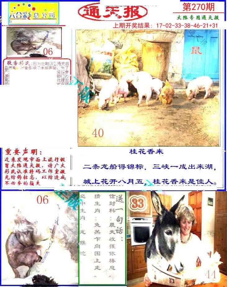 270期大陆通天报[图]