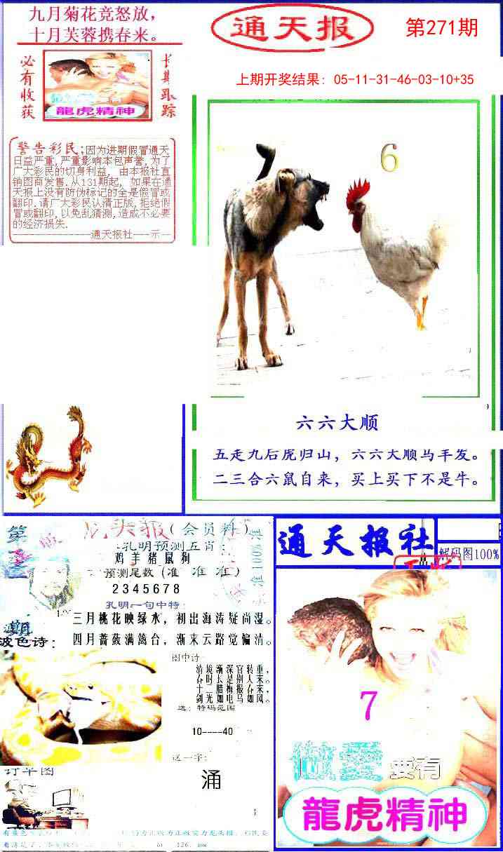 271期实力通天报[图]