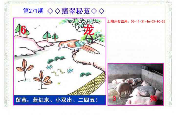 271期翡翠报[图]