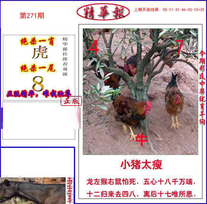 271期新精华报报[图]