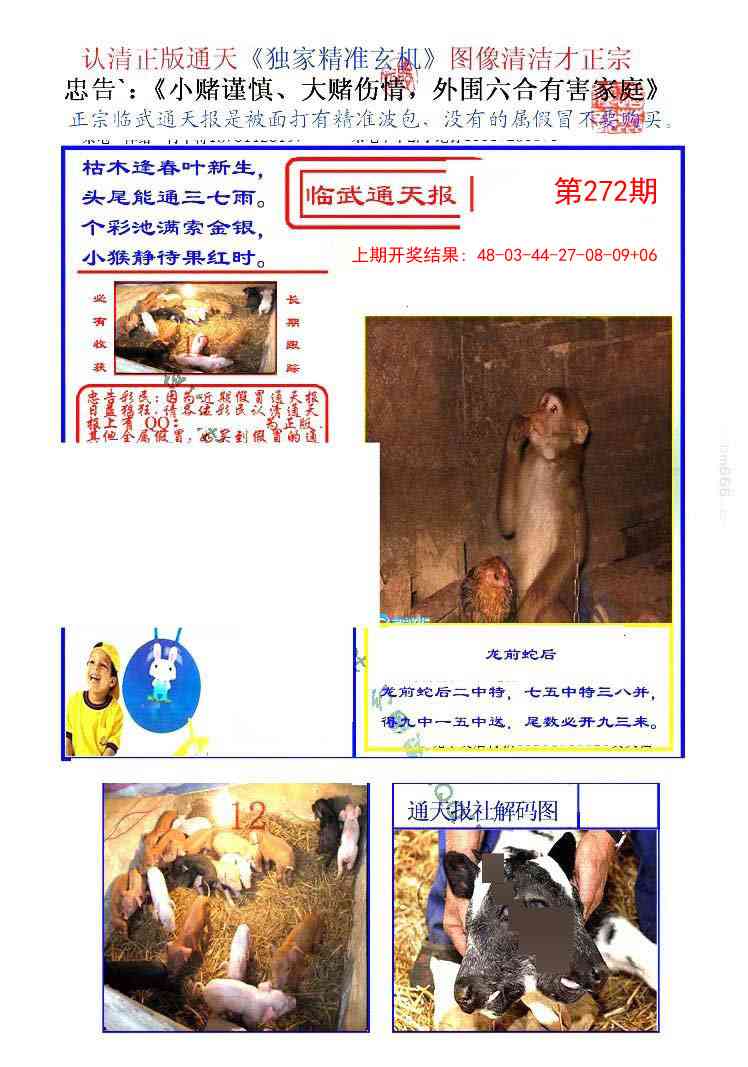 272期临武通天报[图]