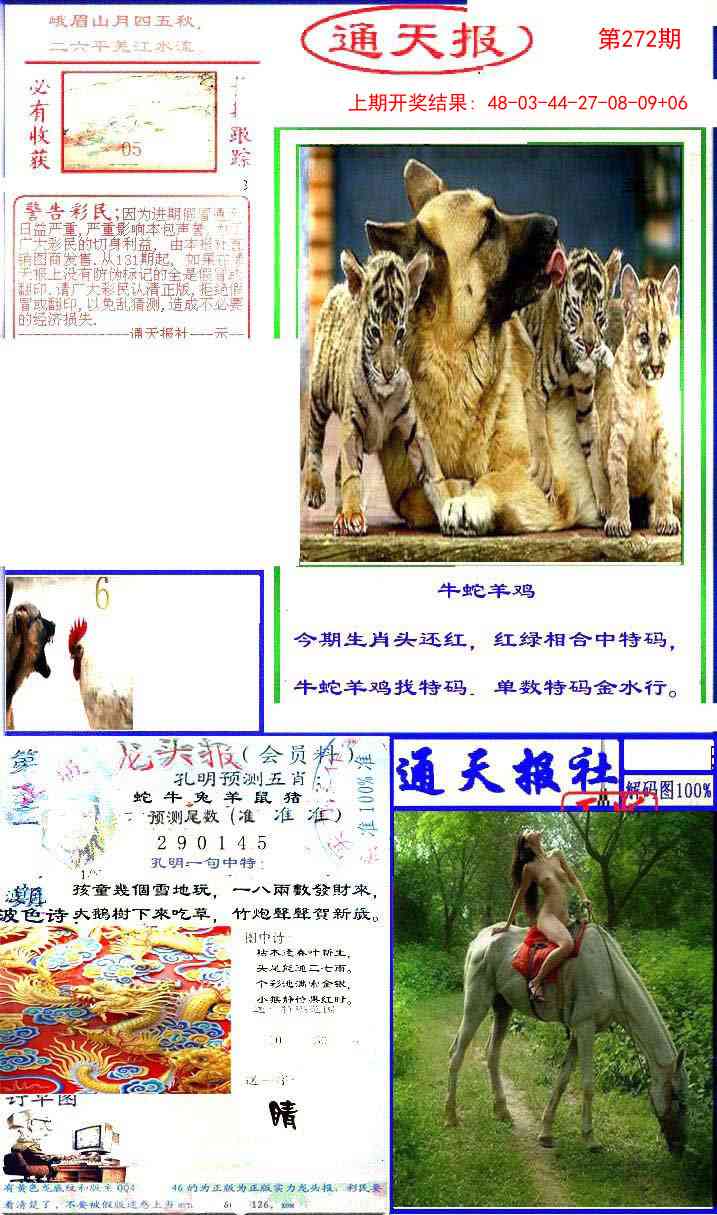 272期实力通天报[图]
