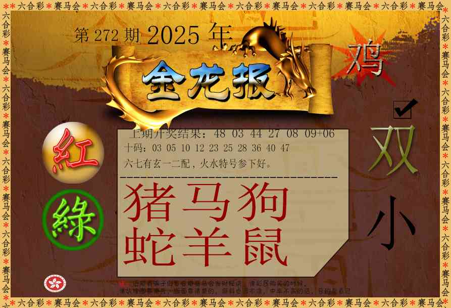 272期金龙报[图]