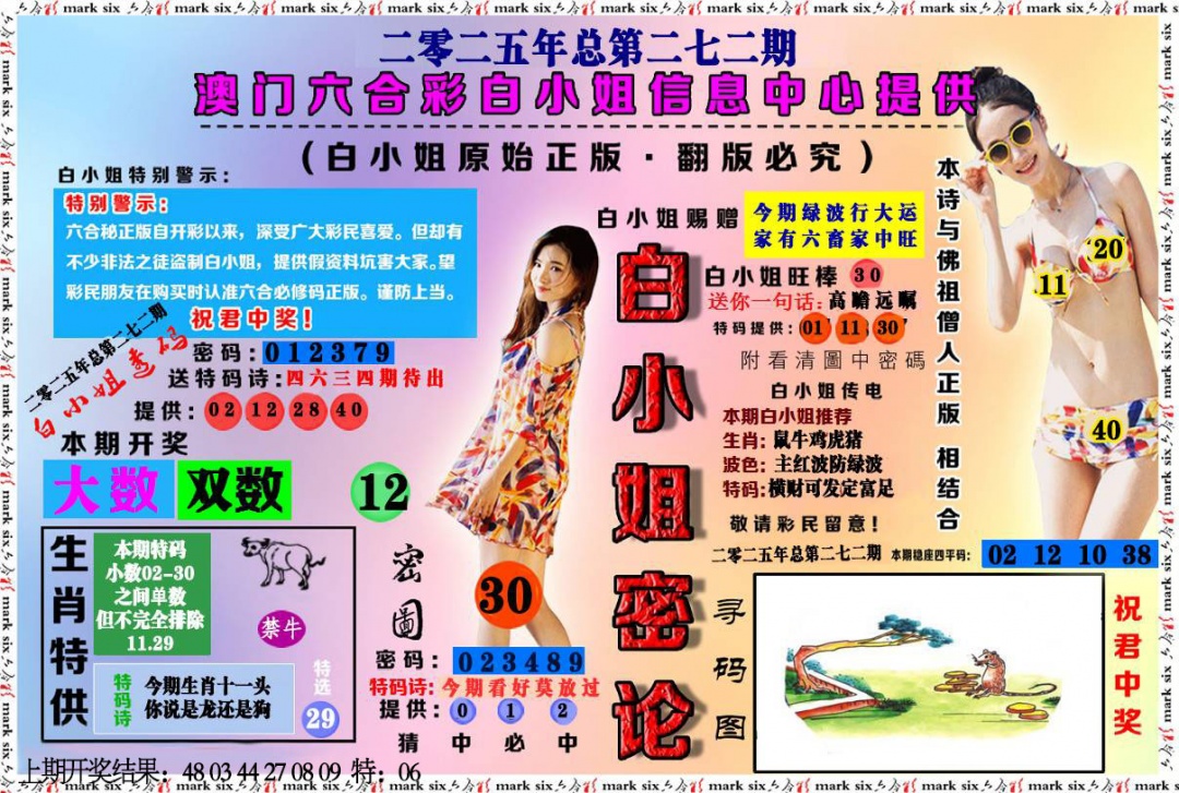 272期白小姐密论[图]